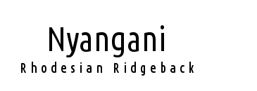 Nyangani Logo